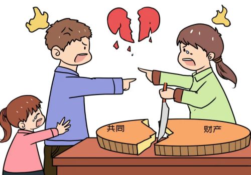 嘉兴调查取证：离婚有纠纷财产纠纷怎么办