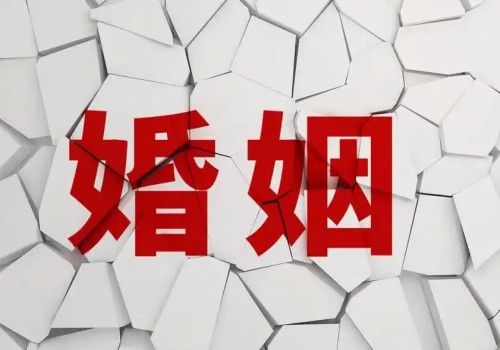 嘉兴调查取证：自书遗嘱法院认定费用由谁承担