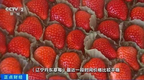 草莓国产在线视频,尽享田园风光与美味果实